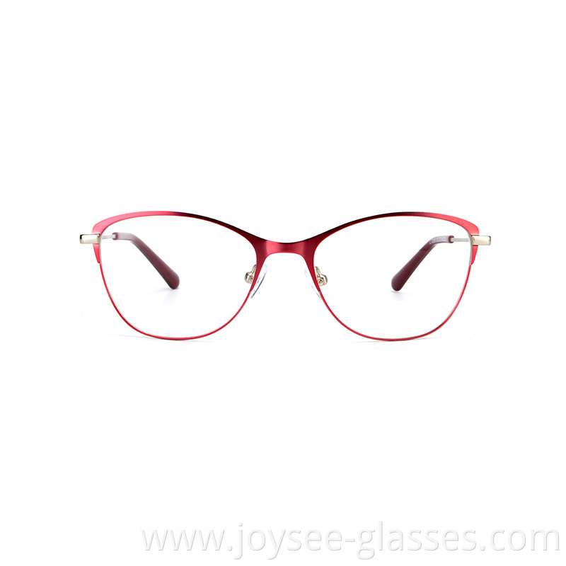 Two Tones Metal Eyeglasses 7